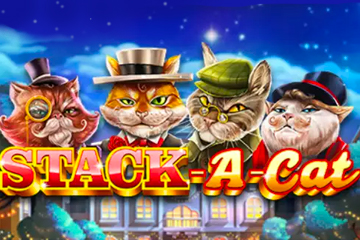 Stack A Cat