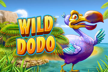 Wild Dodo